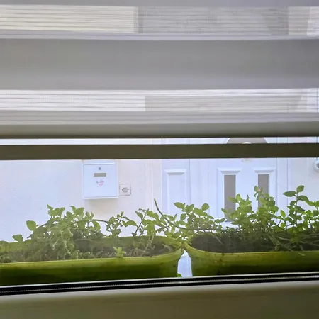 Angelina 03. 公寓 贝尔格莱德