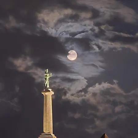 Angelina 03. Belgrade