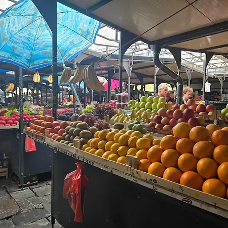 Angelina 03. * 贝尔格莱德