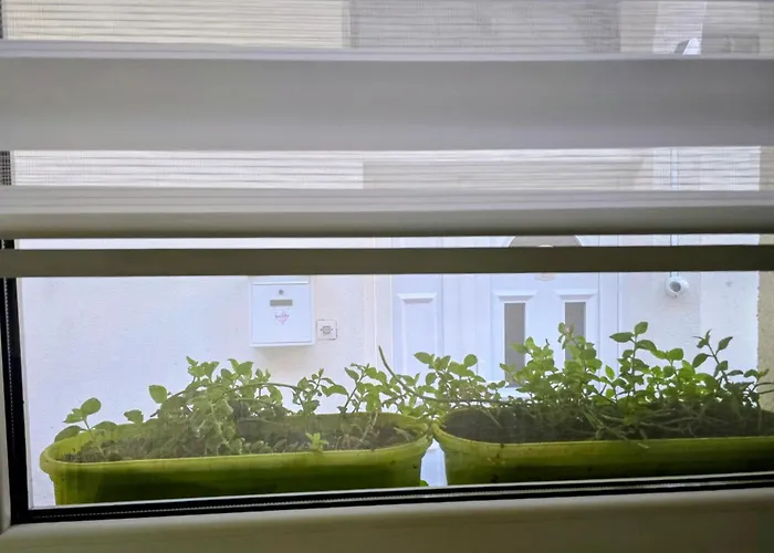 Angelina 03. Apartman Belgrád